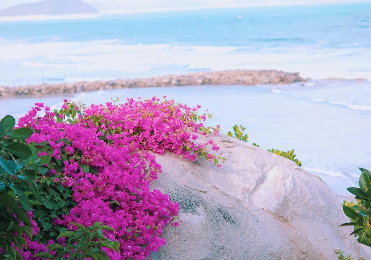 Wild Beach Boutique Resort Ниньфуок