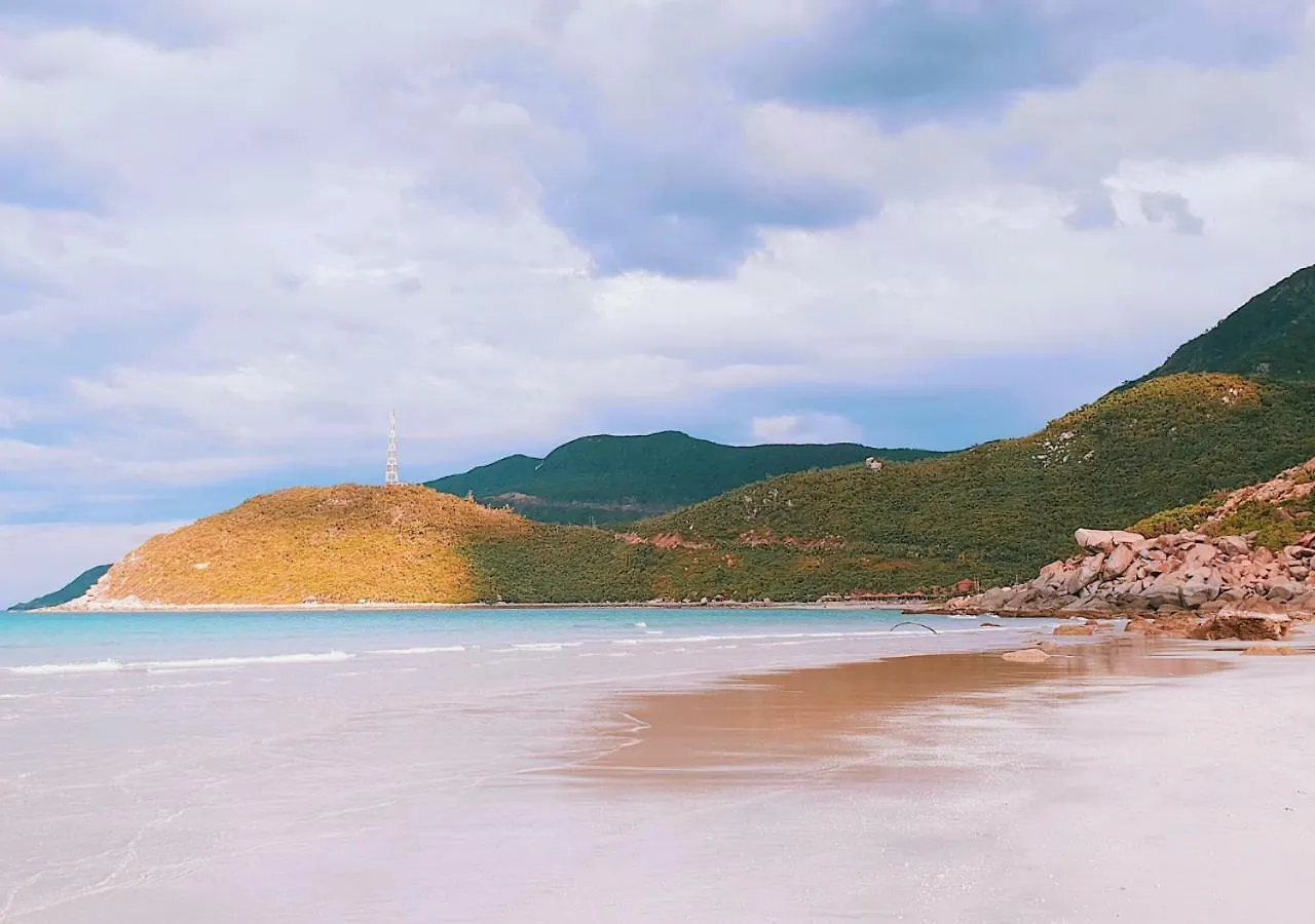 Wild Beach Boutique Resort Ninh Phuoc 3*,  ベトナム